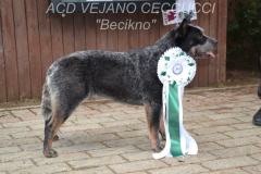 besyikno-05