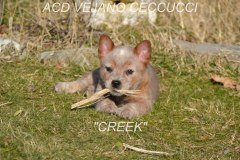 creek-03
